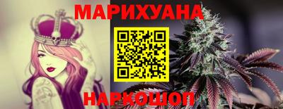 крисы Котовск