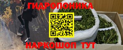 крисы Котовск