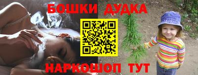 крисы Котовск
