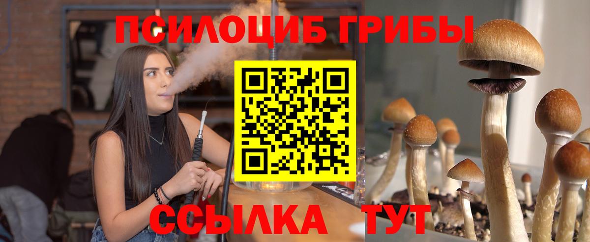 цены   Вход с VPN  Геленджик  Галлюциногенные грибы GOLDEN TEACHER 